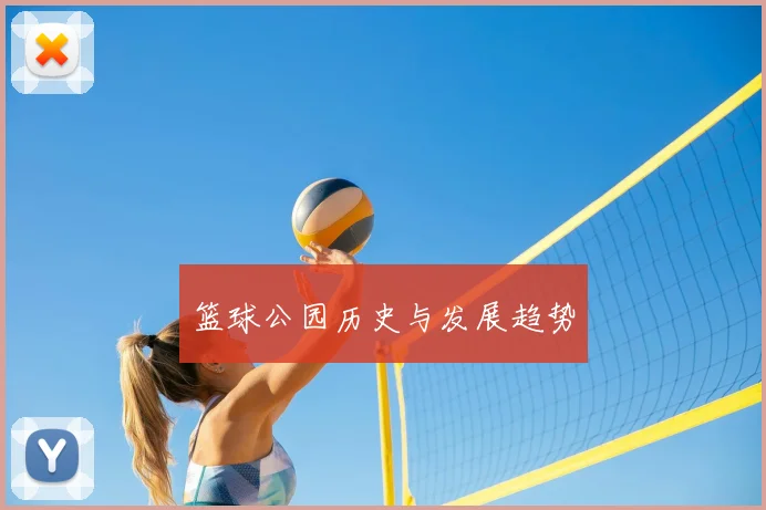 篮球公园历史与发展趋势