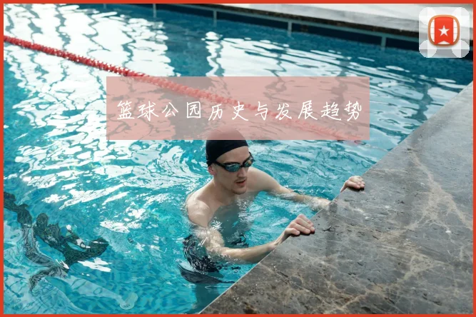 篮球公园历史与发展趋势